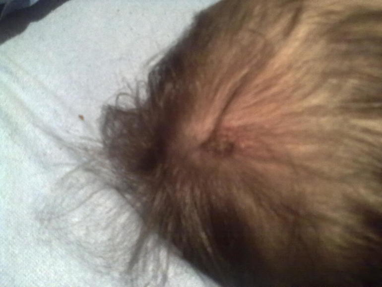 Не пойму что за болячка