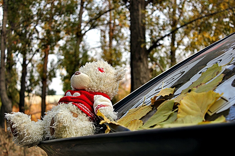 Д/З Эпизод второй. Композиция. Правило третей.