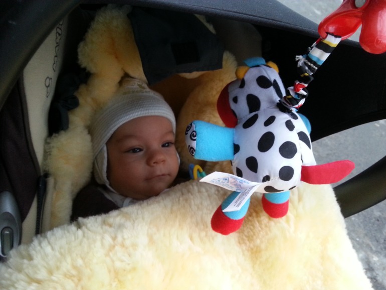 Меховые конверты Monsito