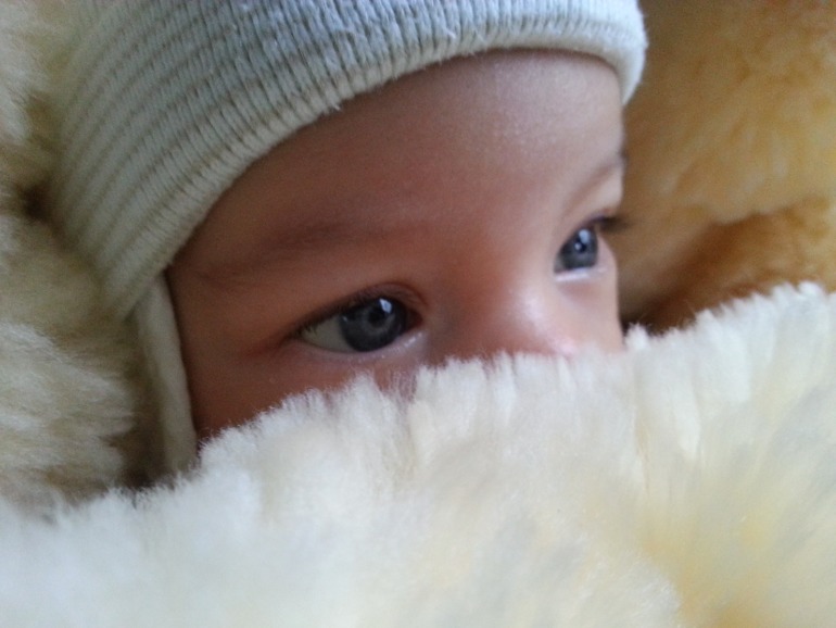 Меховые конверты Monsito