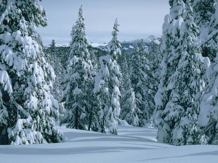 Отчеты по третьему дню ФМ "Встречаем зиму"