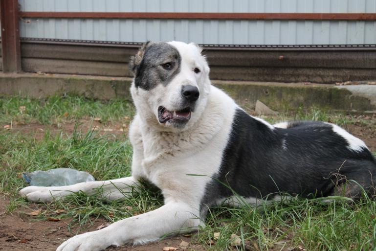 Малышу 1 годик и 10 месяцев=)Растёмс.....