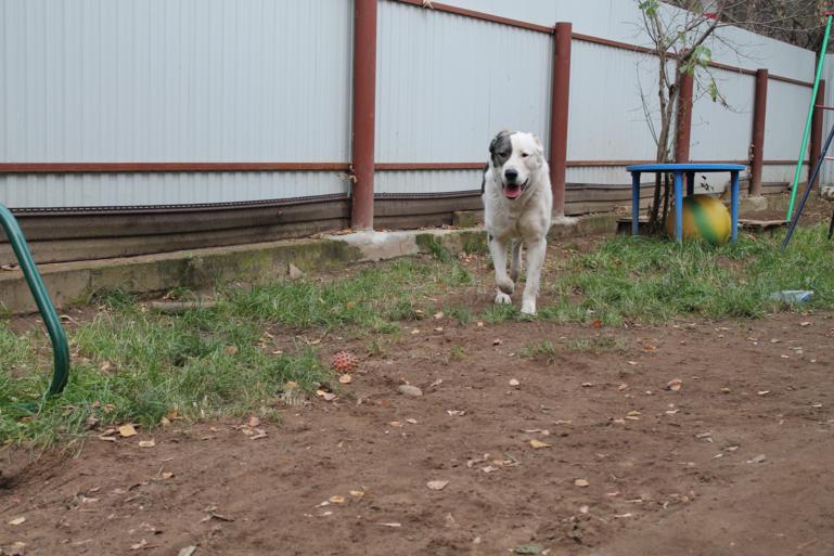 Малышу 1 годик и 10 месяцев=)Растёмс.....