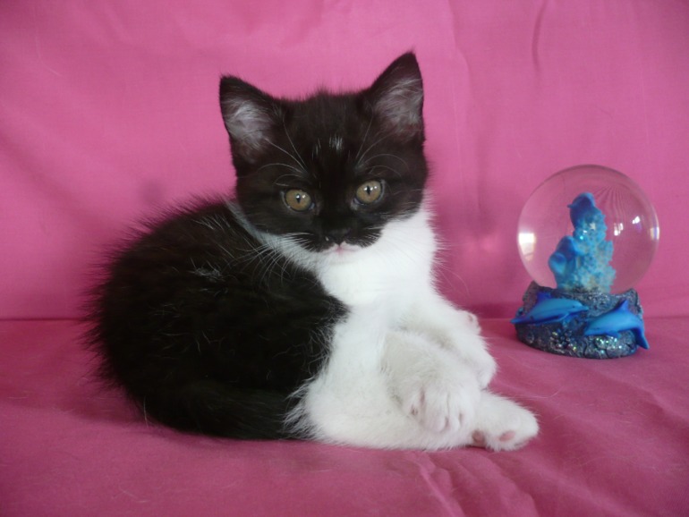 Давайте знакомится))