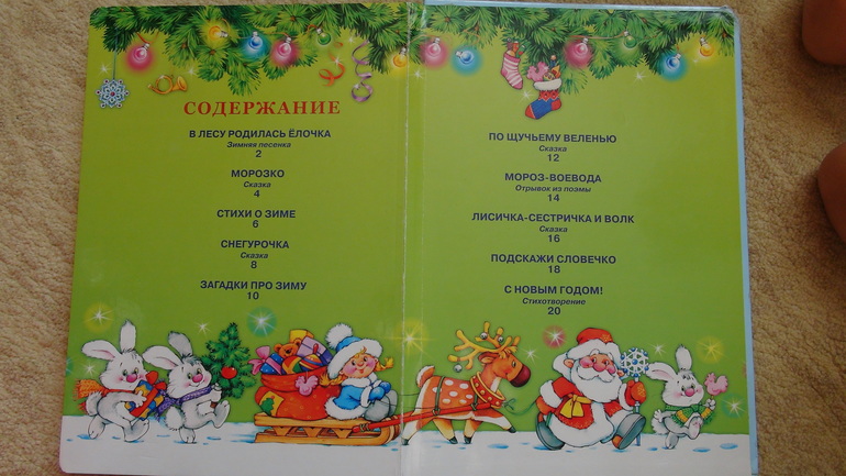 Зимняя книжка