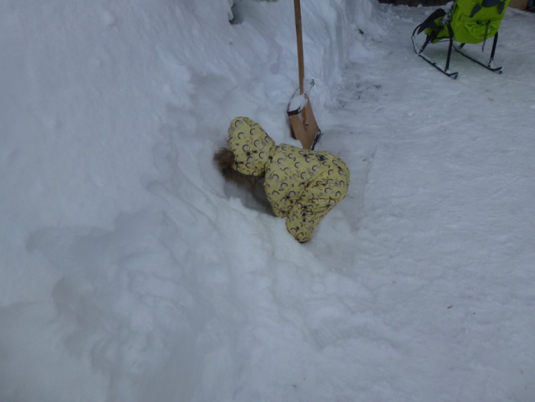 Зимний комбез HUPPA 86 р-р Челябинск