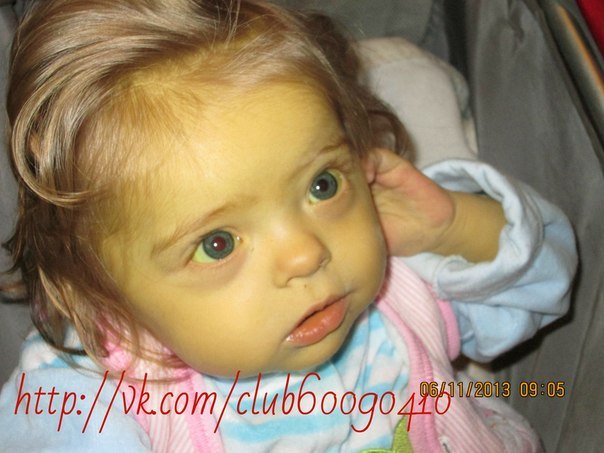 SOS!! Богдана Косюк!!! Экстренный Сбор!!!!