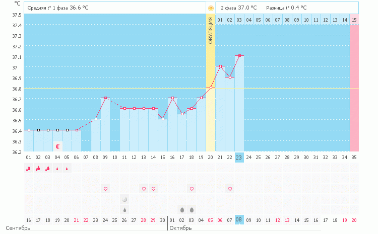 Когда была овуляция?