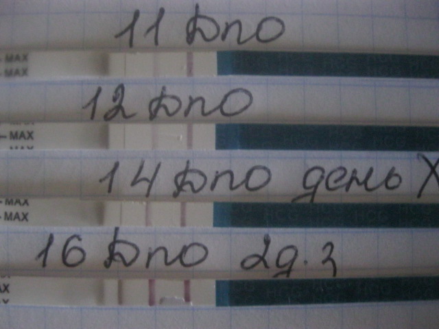 Мой график беременный)))