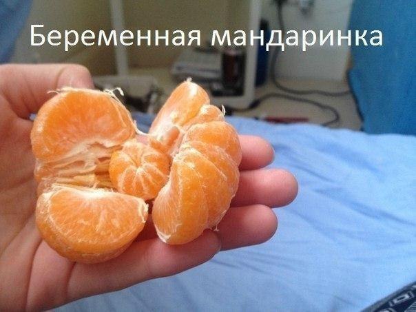 Минутка улыбки)))5 шт.