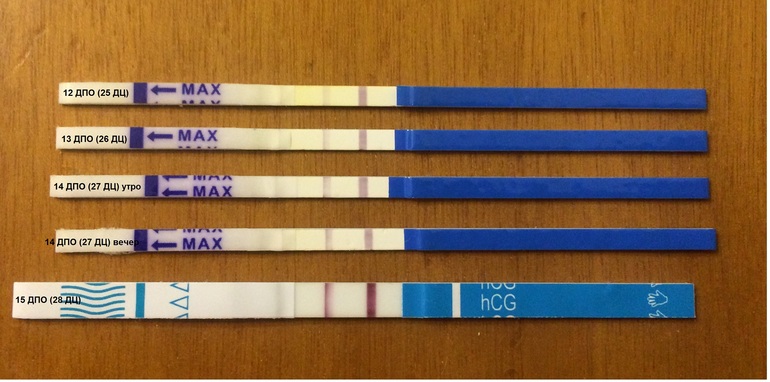 Тянет живот 5 дней после овуляции. Тянет живот 5 дней после овуляции. 8 дпо и тянет внизу живота. 5 дпо при зачатии. Тянет живот 5 дней после овуляции.