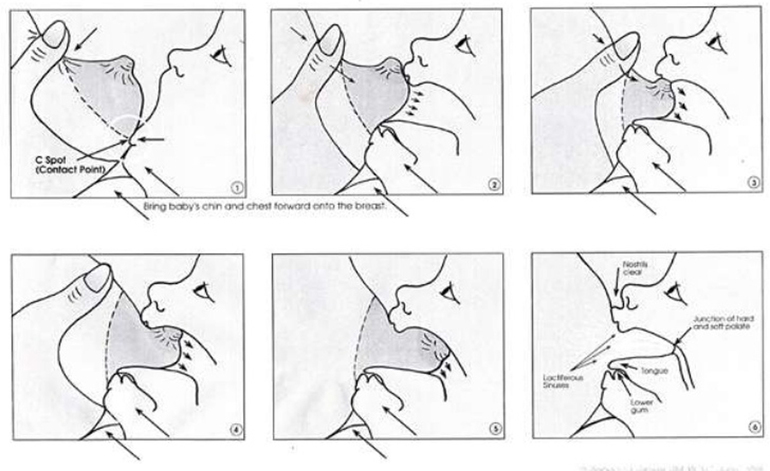 Неправильный захват. Схема грудного вскармливания новорожденного. Техника прикладывания ребенка к груди. Кормление грудью схема. Как правильно давать грудь.