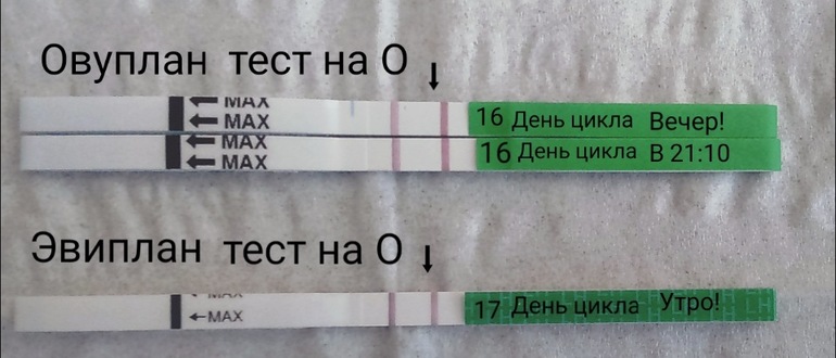 Овуплан Тест На Овуляцию Купить В Спб