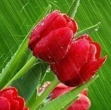 ЭКО-Новогодик! Победители конкурса!