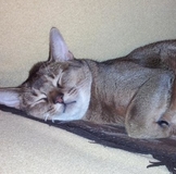 РОЗЫГРЫШ КОНФЕТКИ ПО ЗОНТИКАМ СОСТАЯЛСЯ!!!!