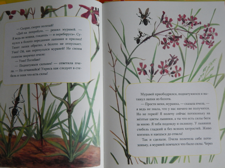 Книги (май).