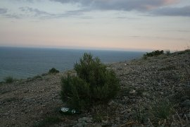 73.11 Вдохновлялочки