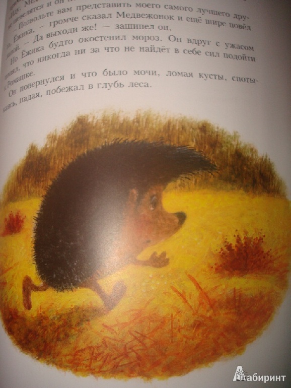 Ежики
