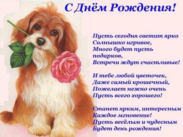 Марусечка, с Днем Рождения старшенького!!!