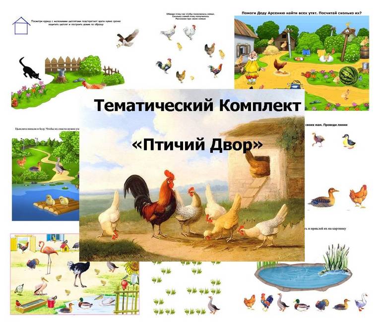 ТК Птичий Двор