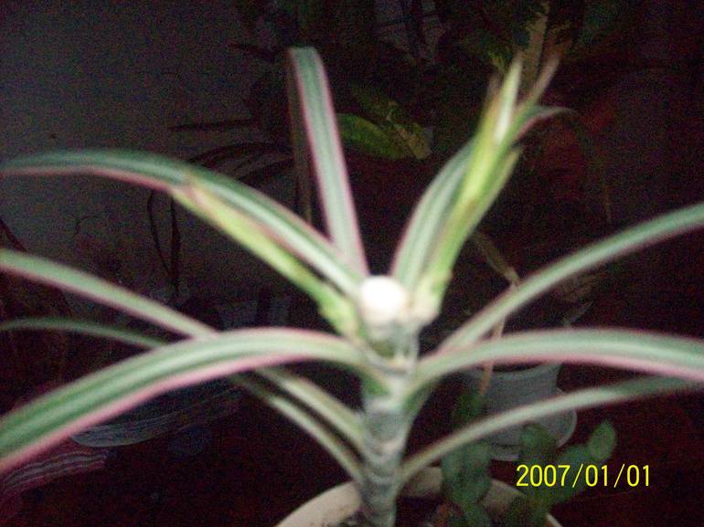 a8d942758fddd7137be4b5440e0abbd0.jpg