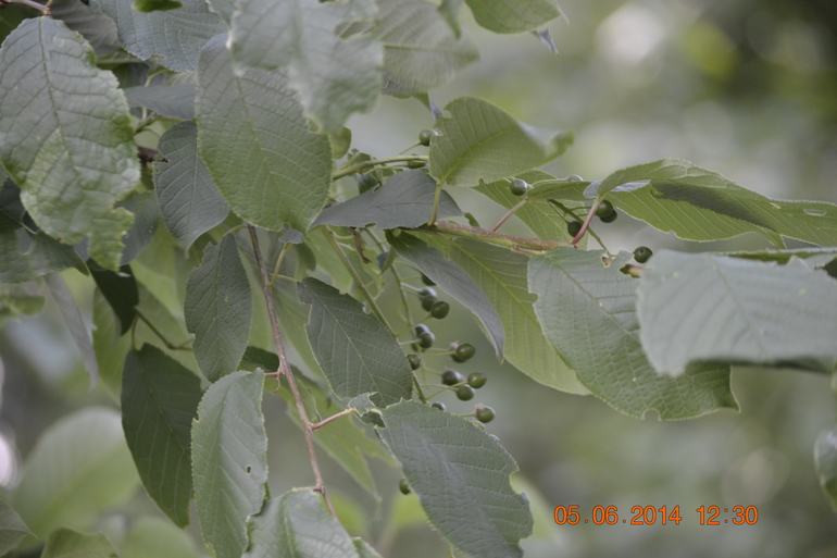 20bbcbc77fbb2e8f1ac185a05cb65534.jpg