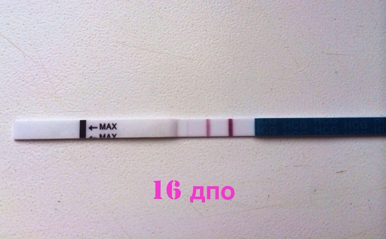 16 дпо второй день задержки !!!