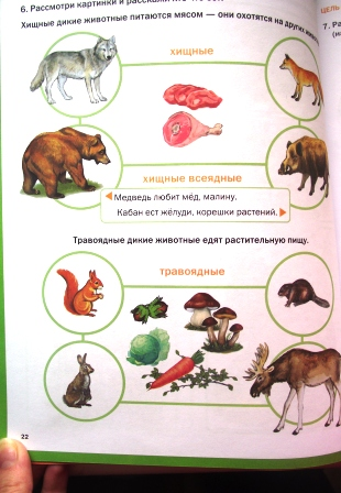 ТН