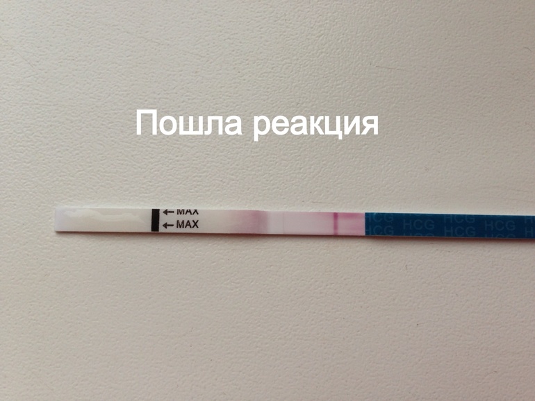 Сделала 14 дпо ) посмотрите как идет процесс)
