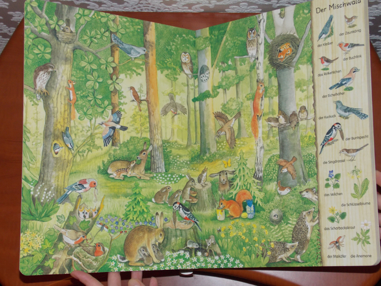 Развороты Mein erstes Wimmelbuch - Im Wald by Christine Henkel