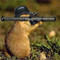 BattleHamster
