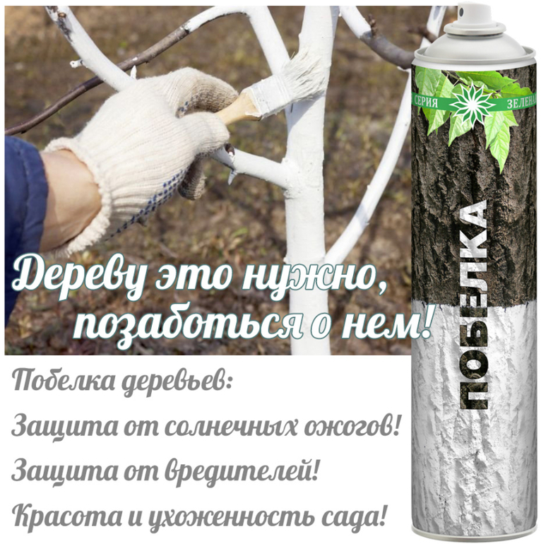 Задают вопрос: Когда сделают что-то новое и полезное для сада и огорода?