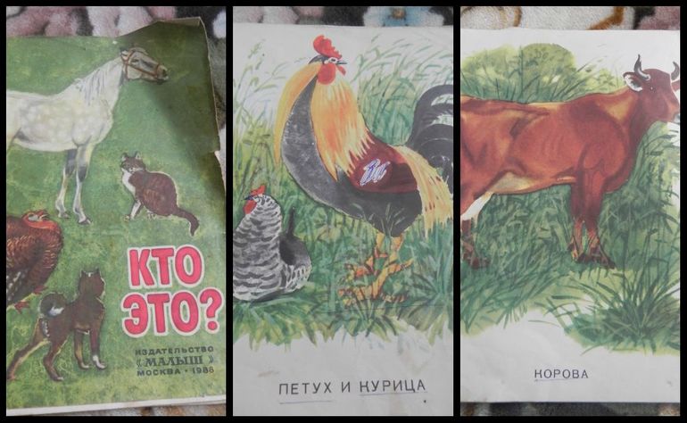 Книги моего детства!