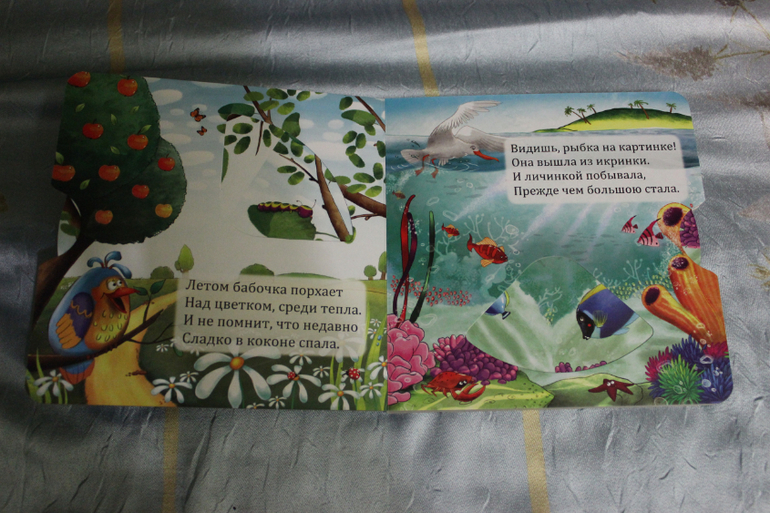 Наша книжная полка