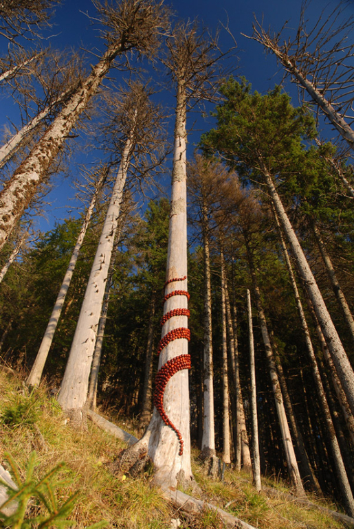 Land Art