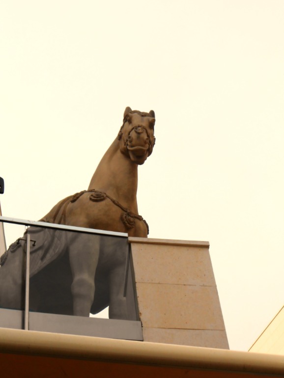 taj mall