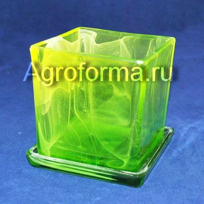 Пересадка фаленопсиса!!!