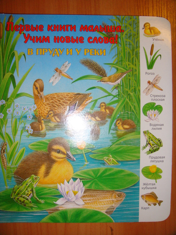 4ce2269348cb8eebb396ce9497a9e3fc.jpg