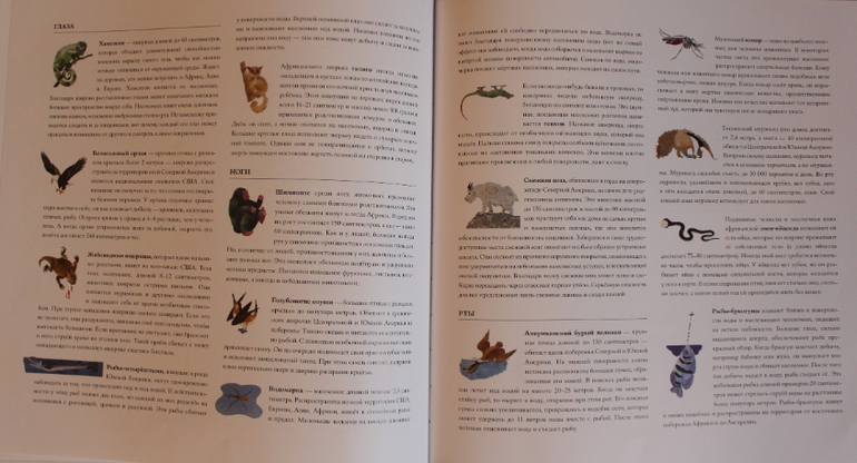Наша книжная жизнь