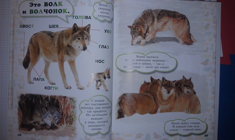 Первые книги