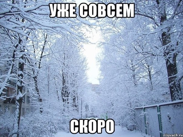 Вчерашний первый снег и мечты о зиме......