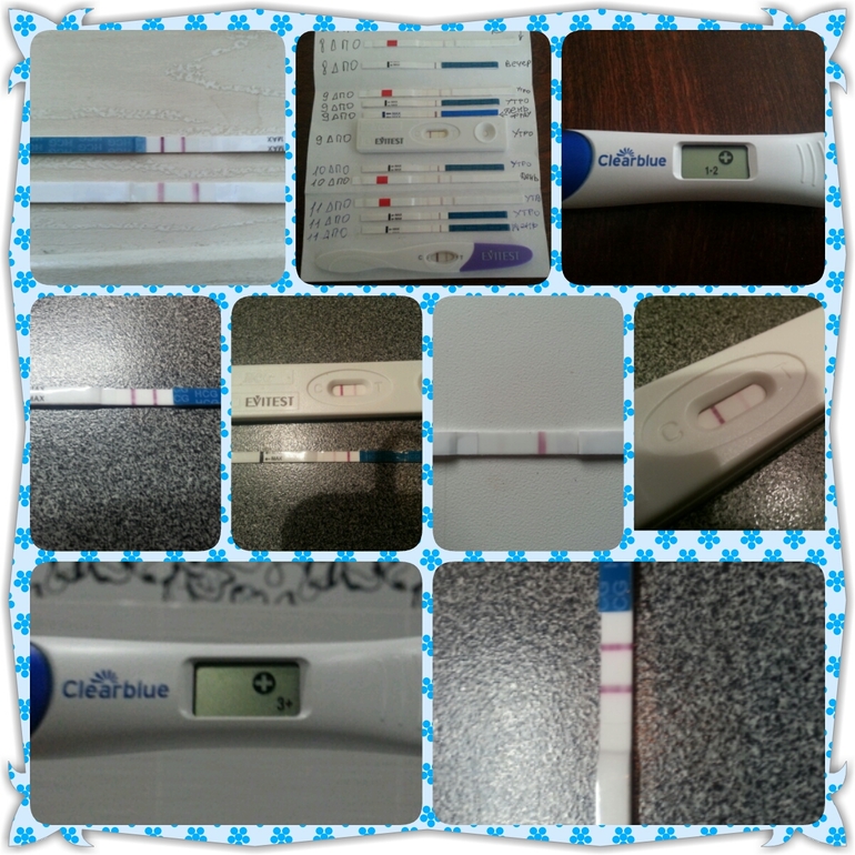 c775c05bb95de44682ccf0887a7b54c1.jpg