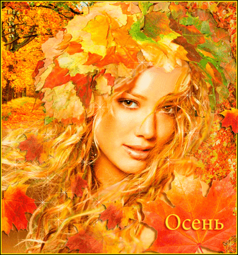 Конкурс красоты