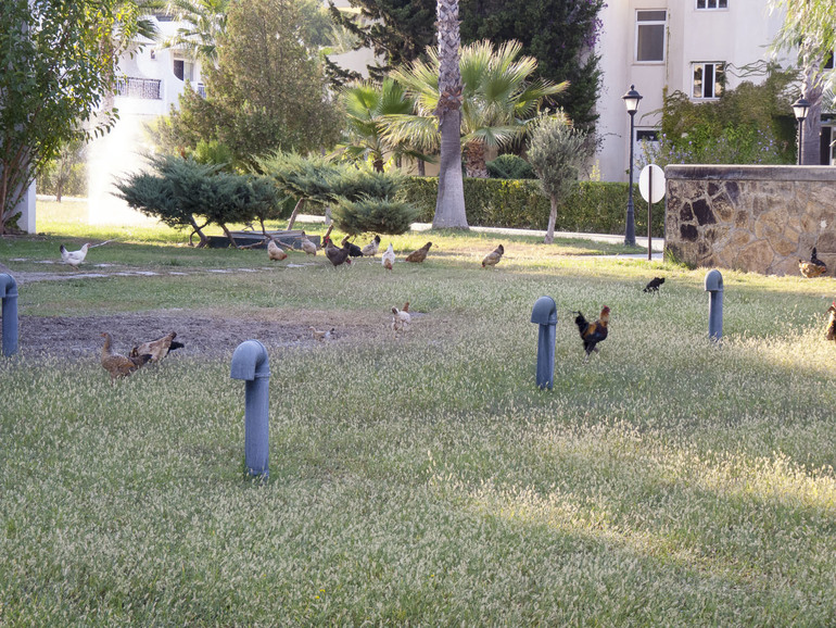 Турция, часть 1: природа