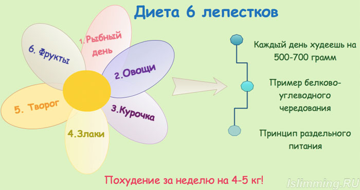 6 лепестков