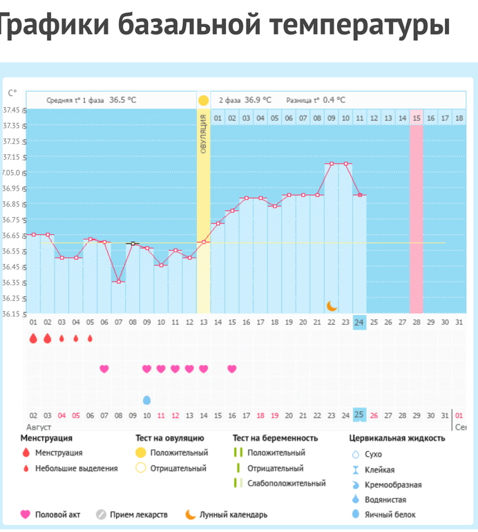 Магазин Бт Москва Отзывы