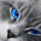 Natali_N