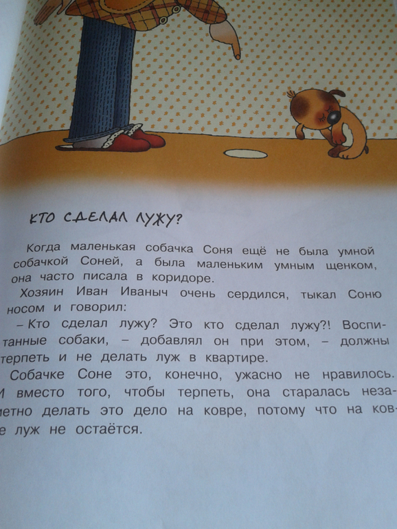 Случайно наткнулась очень понравилась