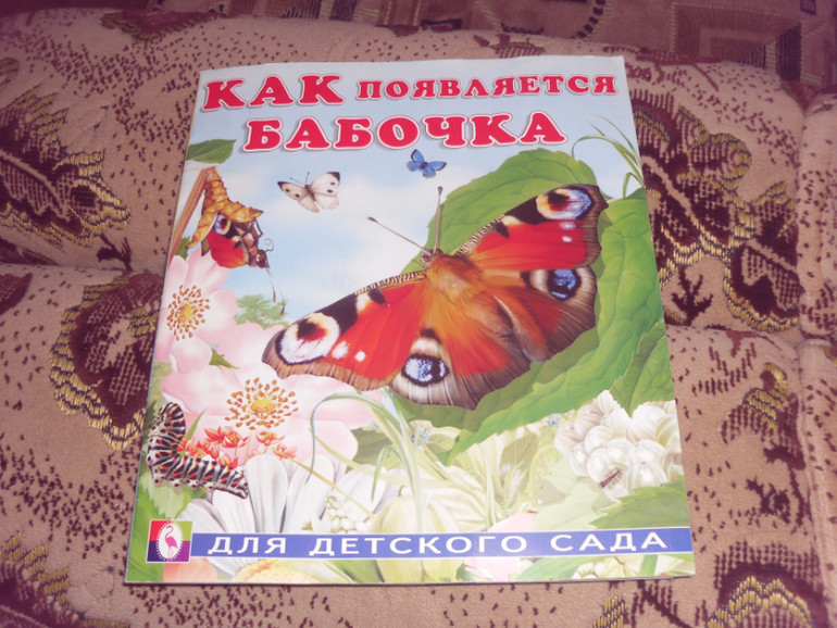 И мазнин давайте дружить ю коваль бабочка 1 класс 21 век презентация