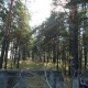 Регина Дурова